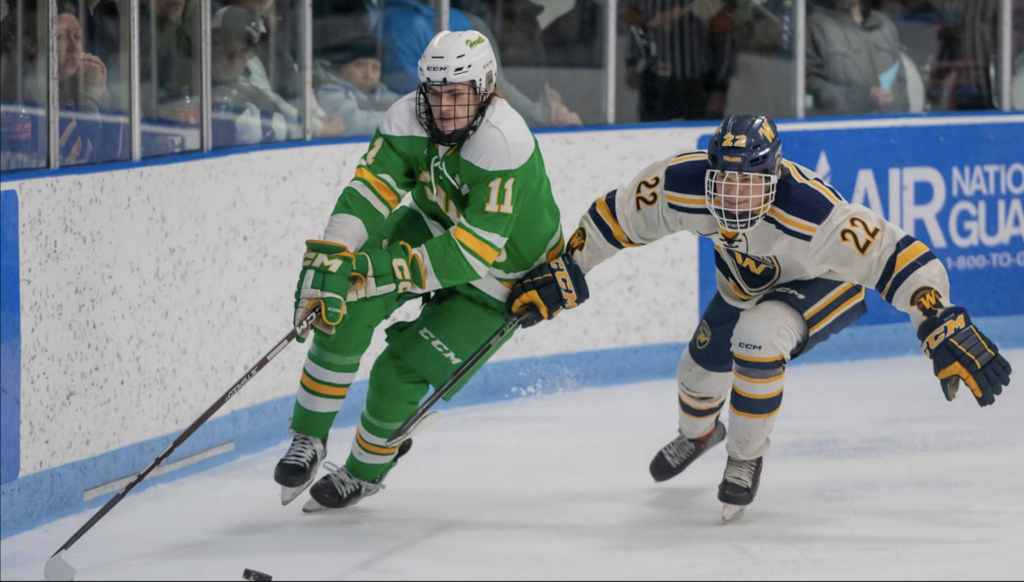 Edina and Wayzata boys hockey players battle during a Section 6AA game